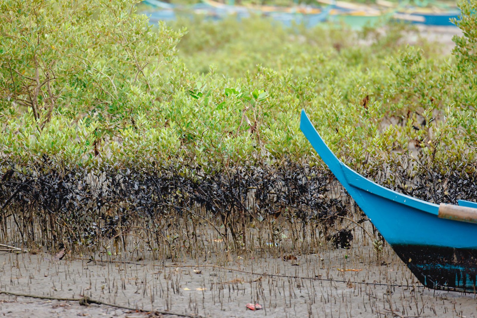 Philippine Fishermen Struggle As Oil Spill Keeps Them Ashore Catholic