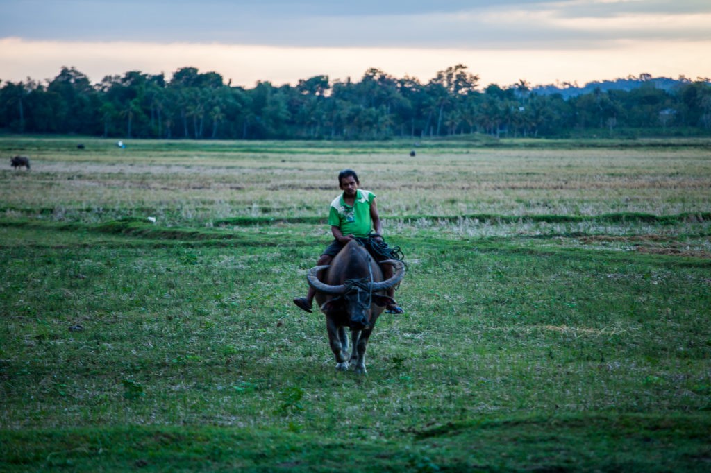 Filipino farmer