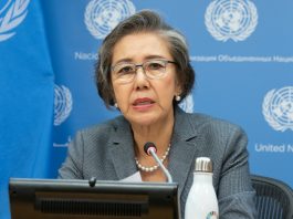 Yanghee Lee, UN special rapporteur