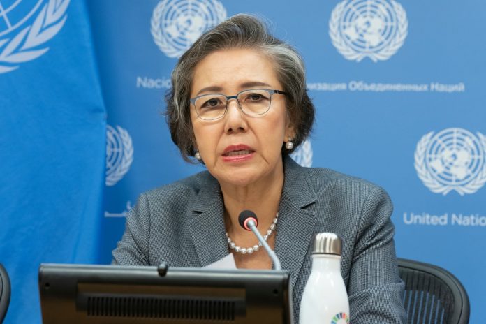 Yanghee Lee, UN special rapporteur