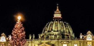 Vatican, St. Peter's Square, Christmas tree