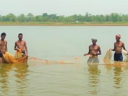 Villagers from Ambagarh Chowki prepare to catch fish from their dam. (Photo supplied)