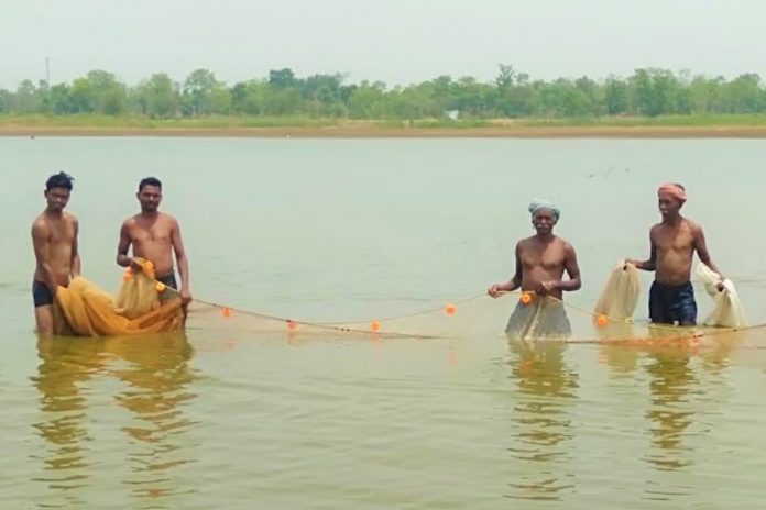 Villagers from Ambagarh Chowki prepare to catch fish from their dam. (Photo supplied)