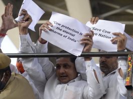 Police detain members of the Hindu nationalist federation of cattle protection Bhartiya Gau Raksha Dal holding placards and shouting slogans for the protection of cows and demanding cows to be declared national animal during a protest in Hyderabad on Jan. 8. (Photo by Noah Seelam/AFP)