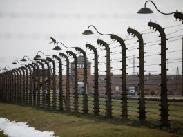 76th Auschwitz liberation commemoration held virtually amidst COVID pandemic
