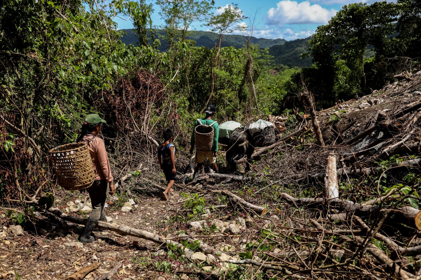 Photos: Indigenous tribe helps sustain Manila’s ‘community pantries ...