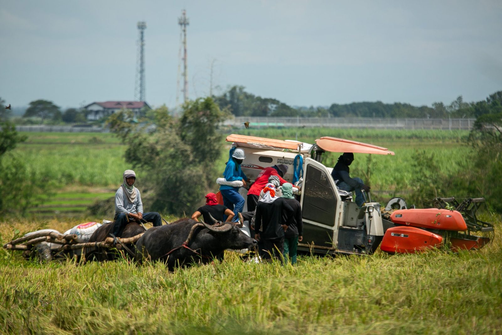 Climate-induced Disasters Aggravate Filipino Farmers’ Sorry State ...