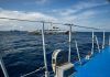 Survey finds strong public backing for partnerships in defending West Philippine Sea