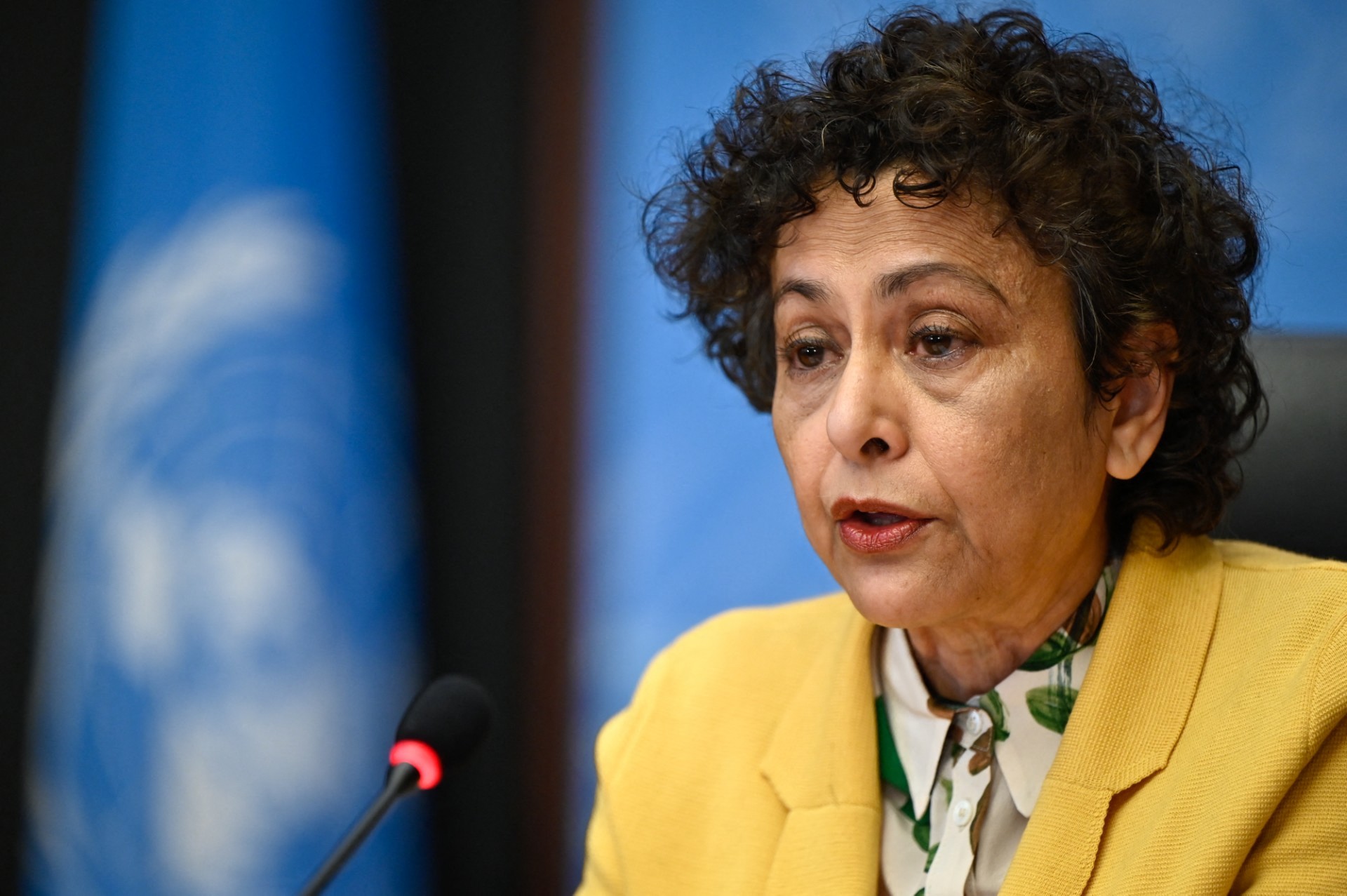 Country Rapporteur UN Special Rapporteur urges action to bridge digital divide, ensure ...
