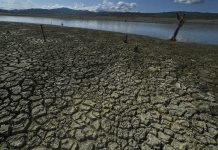 Philippine Church urged to act before El Niño worsens hunger, water shortages