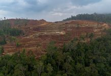 Environmental group flags risks in Philippine critical-minerals mining push