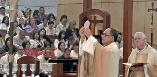 Cardinal David warns of ‘spiritual crocodile’ devouring nation