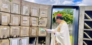 Cardinal David urges Marcos to form ‘truth’ body on drug war killings