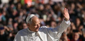 Pope at Audience: We must lend our voice to those who have none
