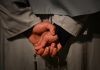 Why October needs an ecological Rosary