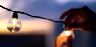 Light bulbs at dusk