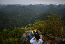 Vatican announces theme for 2026 World Day of Prayer for the Care of Creation
