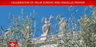 Pope at Palm Sunday Mass: ‘Jesus does not listen to prayers of those who wage war’