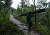 Exploring indigenous integral ecology and alternative development paradigm among Mangyans of Mindoro