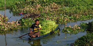 Extreme heat as ‘risk multiplier’ pushes global food systems toward crisis, UN warns