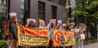 Regional coalition launches campaign against fossil gas expansion in Coral Triangle