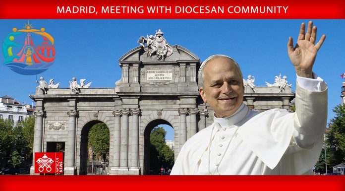 Pope: Bear witness to the joy of the Gospel in unity and diversity