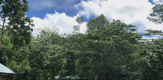 Integral Ecology: Learning becomes deeper when we listen to others