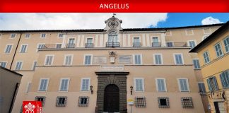 Pope at Angelus: God’s Kingdom grows quietly through love, not force