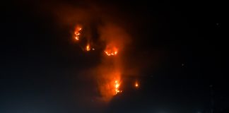 Climate group calls on Prabowo government to make polluters pay for wildfire damage