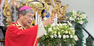 Bishop urges laity to ‘bring the Church into the world’