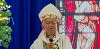Bishop calls reforestation ‘a big lie’ as 57,000 trees face cutting in Palawan