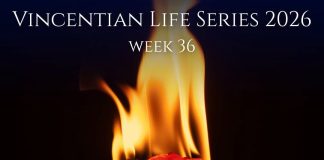 Vincentian Life Series | Vincentian Values: Passion