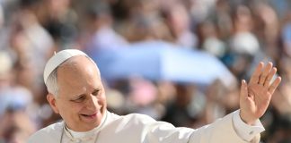 Pope at Audience: Human dignity must always be defended as God’s gift