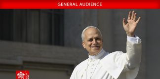 Pope at Audience: Church is called to serve humanity, unmask society’s contradictions