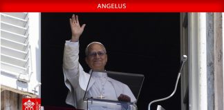 Pope at Angelus: Mutual love is one debt that ‘does not enslave us’