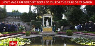 Pope Leo: ‘It is not yet too late’ to turn destruction into life