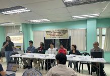 Advocates challenge privatized power model, push public control