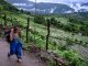 Indigenous Adi resist India’s Siang mega-dam amid arrests, paramilitary deployment