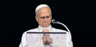 Pope at Angelus: ‘I have truly felt your support’