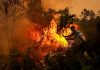 Burned forests in Indonesia must not become mines or plantations, Church warns