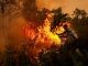 Burned forests in Indonesia must not become mines or plantations, Church warns